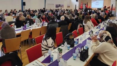 Ordu İl Kültür ve Turizm Müdürlüğü, Avrupa’da Türk kültürünü tanıtmak,