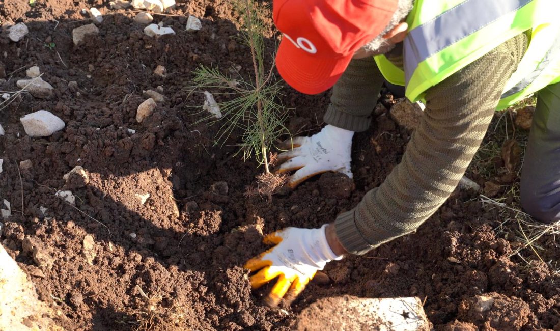 Enerji ve Tabii Kaynaklar Bakanlığı, petrol üretim üssüne dönüştürülen Şırnak