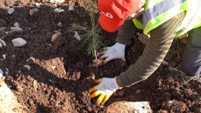 Enerji ve Tabii Kaynaklar Bakanlığı, petrol üretim üssüne dönüştürülen Şırnak