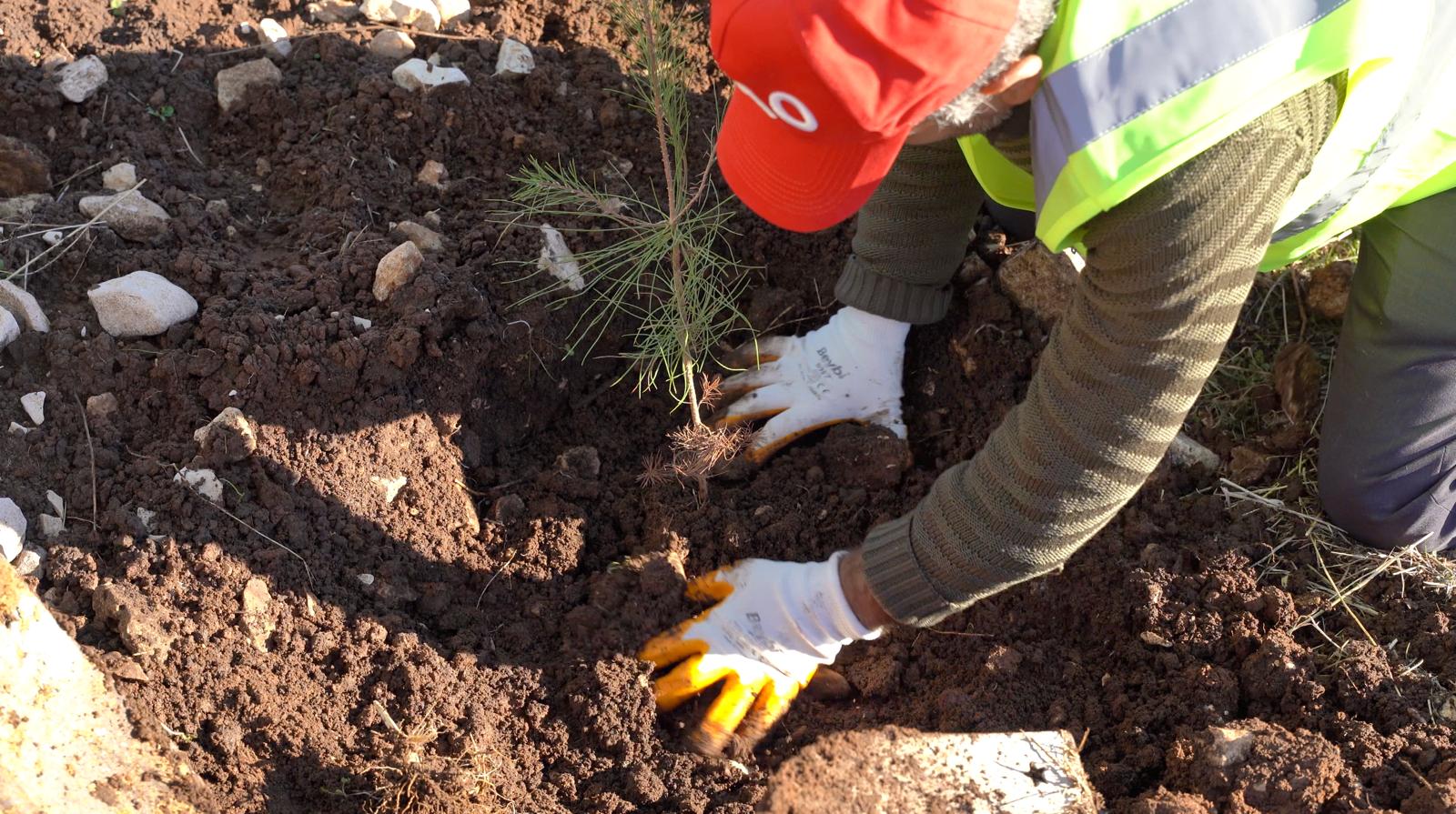 Enerji ve Tabii Kaynaklar Bakanlığı, petrol üretim üssüne dönüştürülen Şırnak