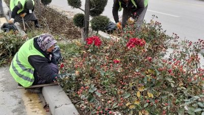 Bolu Belediyesi Park ve Bahçeler Müdürlüğü ekipleri, kent genelinde mevsimsel