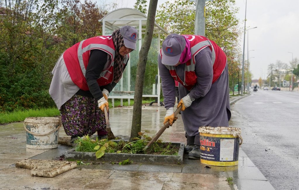 Düzce Belediyesi 2025 yılının genelinde park ve yeşil alanlarda yaptığı