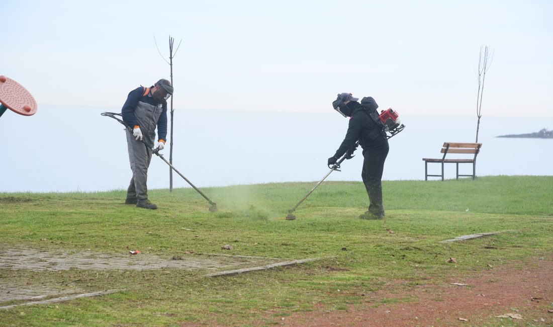 Giresun Belediyesi Temizlik İşleri Müdürlüğü, kent genelinde yeşil alanların bakım
