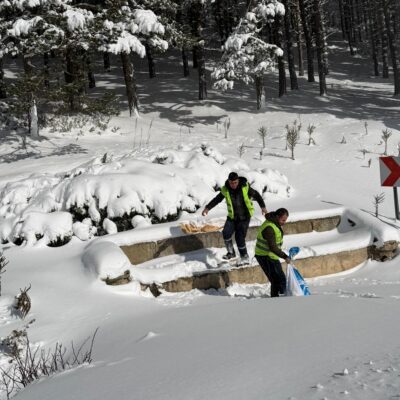 Merzifon Belediyesi, soğuk ve zorlu kış şartlarında yabani hayvanları da