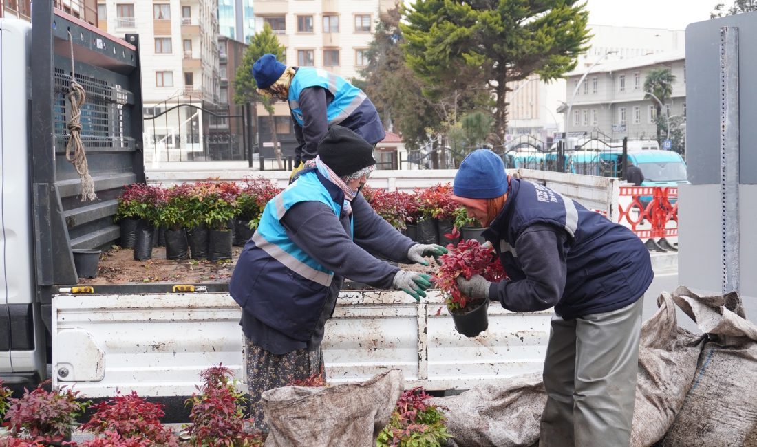 Rize Belediyesi Yaz Mevsimi İçin Bitkilendirme Çalışmalarına Başladı Rize Belediyesi, kentin yeşil dokusunu güçlendirmek ve yaz mevsimine daha