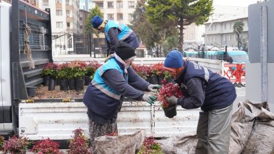 Rize Belediyesi, kentin yeşil dokusunu güçlendirmek ve yaz mevsimine daha