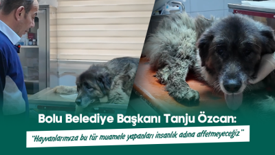 Bolu Belediye Başkanı Tanju Özcan, yol ortasında uyurken bir aracın