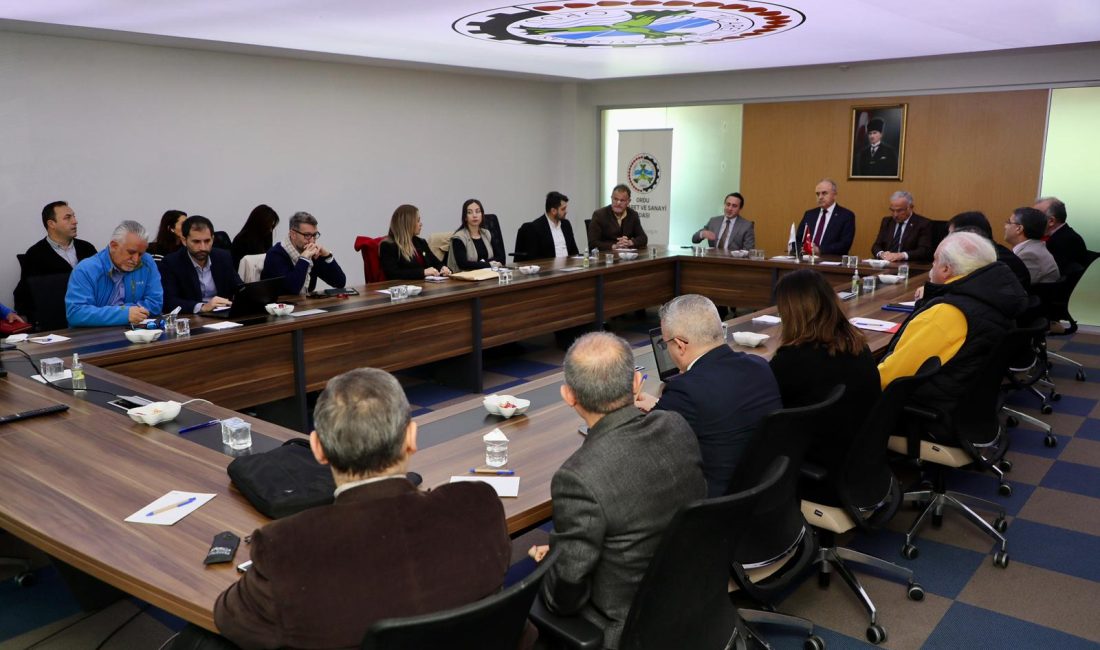 Vali Muammer Erol, Ordu-Giresun illeri deniz ve su sporlarının geliştirilmesi