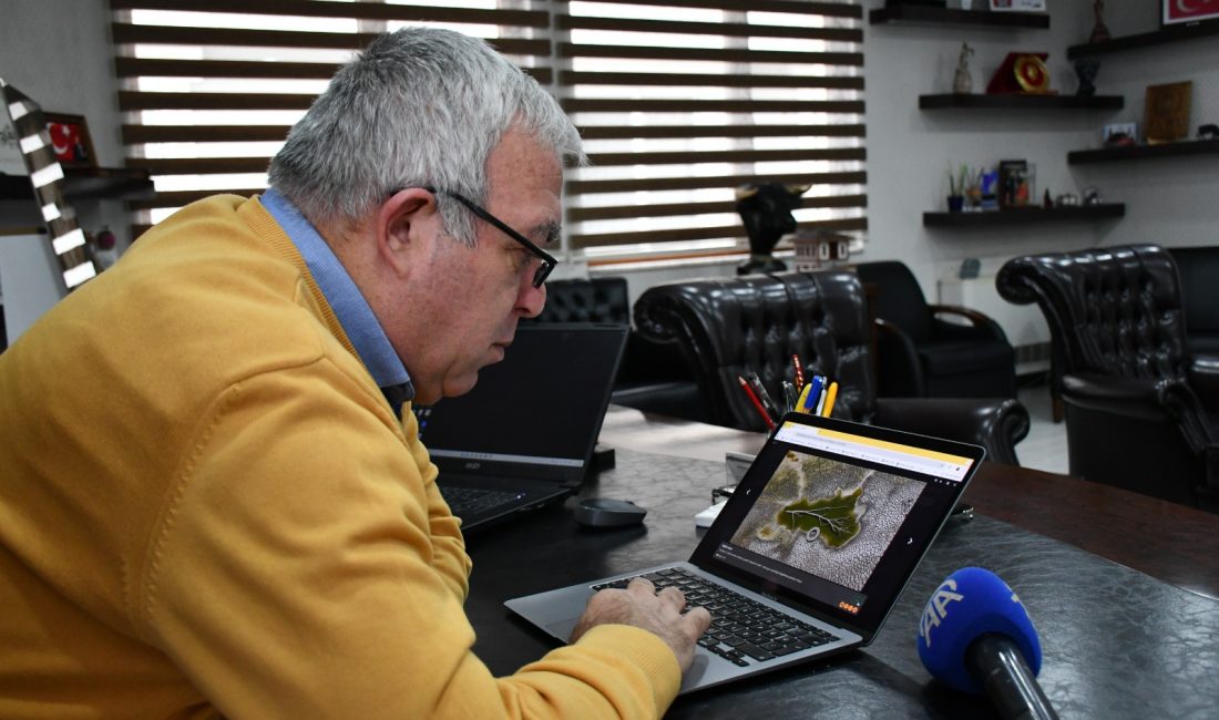 Başkan Erdem, Anadolu Ajansı’nın “Yılın Kareleri” Oylamasına Katıldı Artvin Belediye Başkanı Bilgehan Erdem, Anadolu Ajansı’nın (AA) her yıl