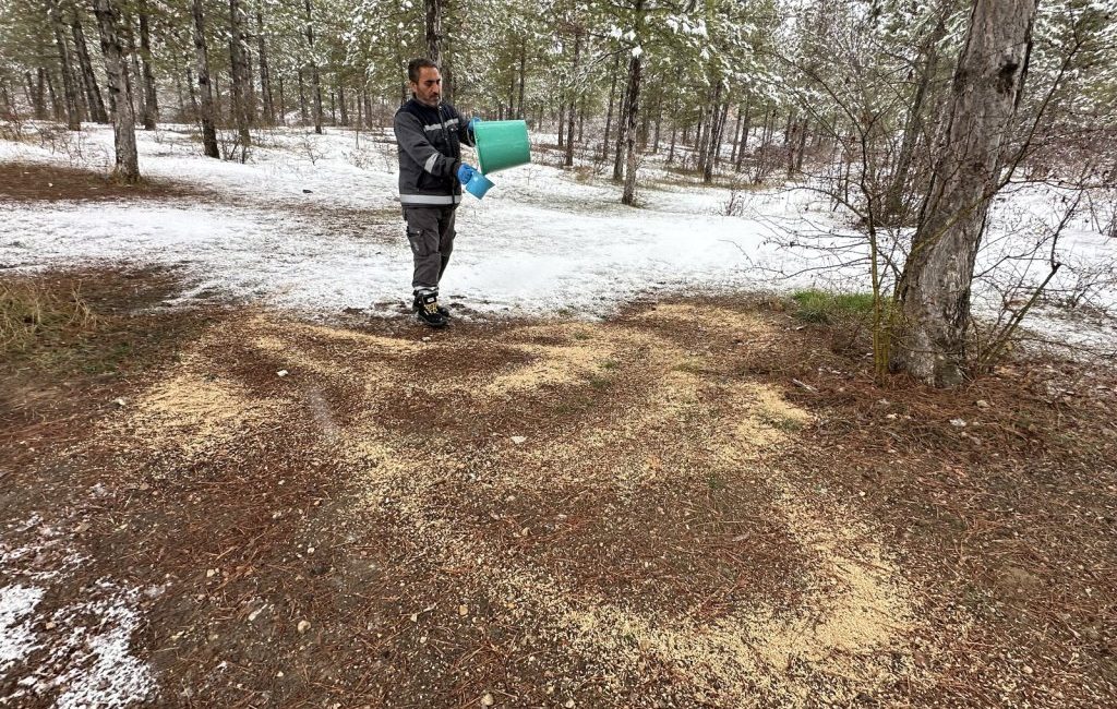 Çorum Belediyesi, kış mevsiminin etkisini artırdığı soğuk günlerde doğal ortamlarında