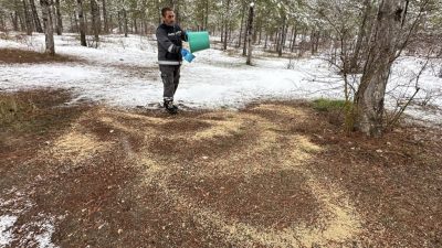 Çorum Belediyesi, kış mevsiminin etkisini artırdığı soğuk günlerde doğal ortamlarında