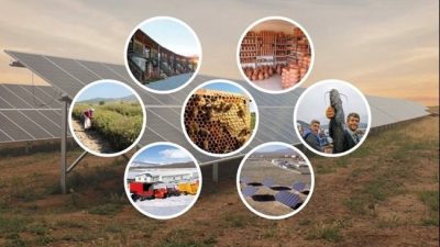 Tarım ve Kırsal Kalkınmayı Destekleme Kurumu Ordu İl Koordinatörlüğü’nün IPARD