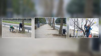 Giresun Belediyesi, sahil şeridinde hem çevre estetiğini artırmak hem de