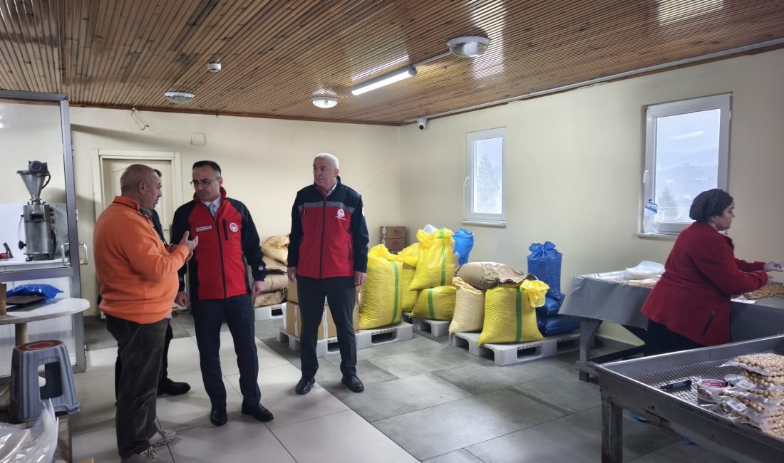 Giresun’da Fındık Tesisine Destek Ziyareti Giresun İl Tarım ve Orman Müdürlüğü İl Müdürü Mustafa Ensar