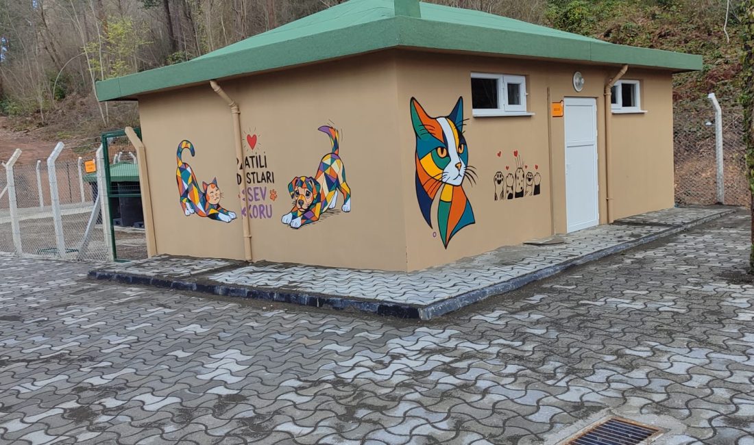 Ordu Valiliği bünyesinde, nüfusu 25 bini aşan ilçelerde sahipsiz sokak