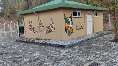 Ordu Valiliği bünyesinde, nüfusu 25 bini aşan ilçelerde sahipsiz sokak