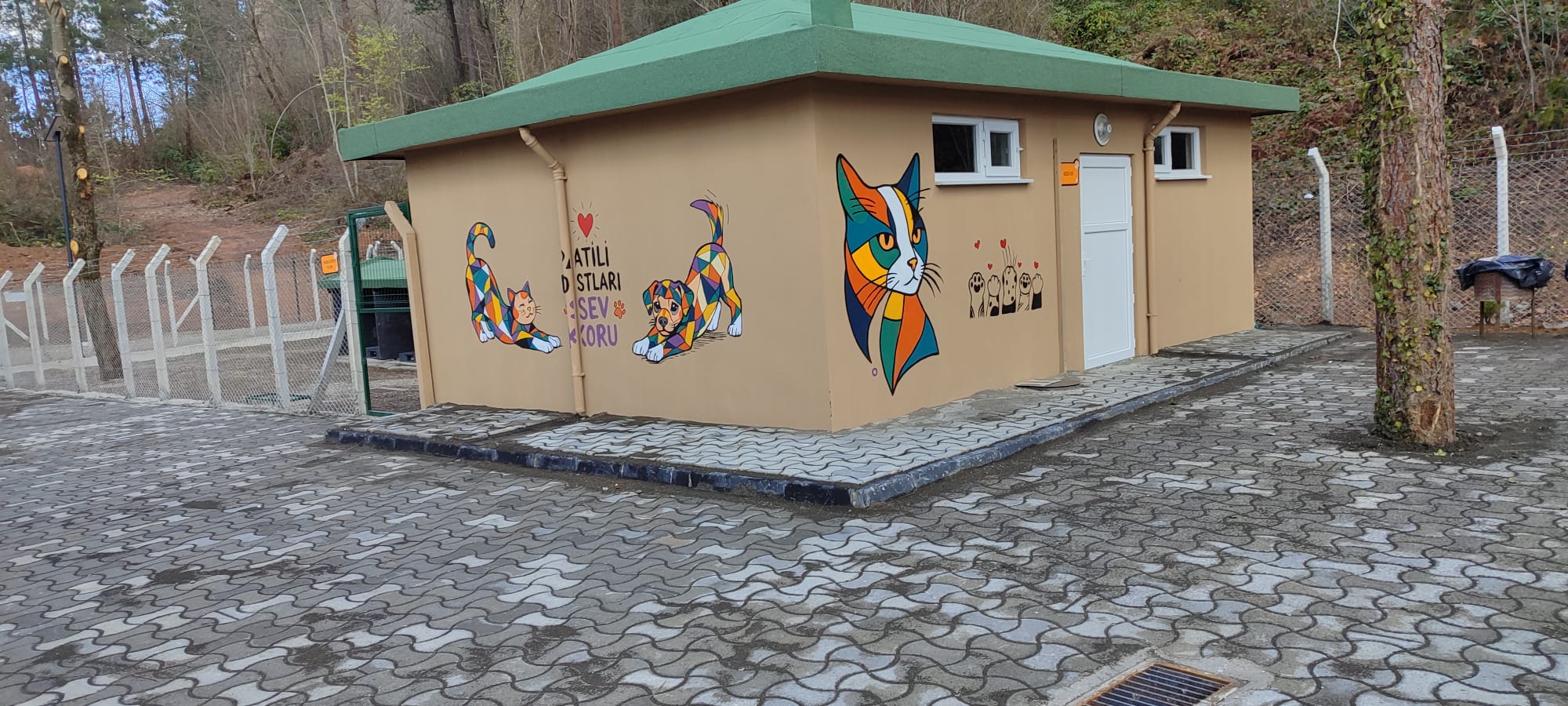 Ordu Valiliği bünyesinde, nüfusu 25 bini aşan ilçelerde sahipsiz sokak