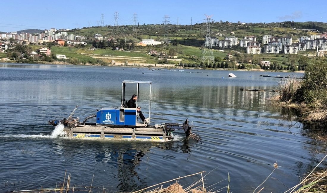 Kocaeli Büyükşehir Belediyesi, İzmit Körfezi başta olmak üzere ilimizdeki sulak