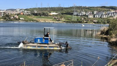 Kocaeli Büyükşehir Belediyesi, İzmit Körfezi başta olmak üzere ilimizdeki sulak