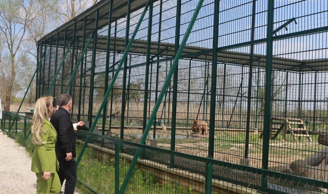 Sakarya Doğa Koruma ve Milli Parklar Müdürlüğü tarafından ruhsatlandırılan ve