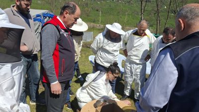 Arıcılık Araştırma Enstitüsü Müdürlüğü tarafından, Ordu İli Arı Yetiştiricileri Birliği