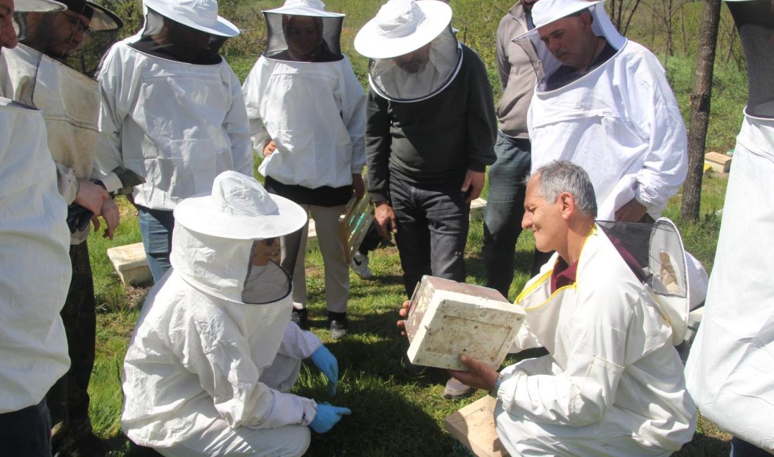 Ordu İl Tarım ve Orman Müdürü Bayram Ay, Ordu Arıcılık