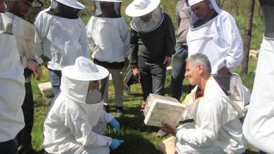 Ordu İl Tarım ve Orman Müdürü Bayram Ay, Ordu Arıcılık
