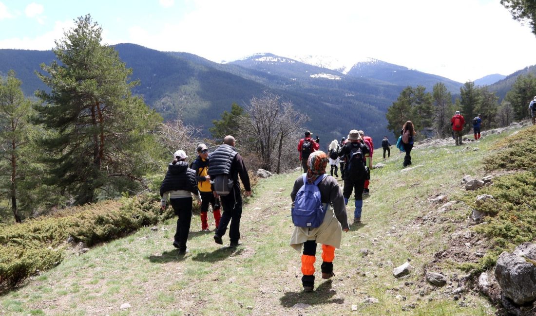 Bolu Belediyesi’nin düzenlediği doğa yürüyüşleri kapsamında, Köroğlu Dağı eteklerinde gerçekleştirilen