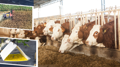 Tarım ve Orman Bakanı İbrahim Yumaklı, 350 milyon 968 bin