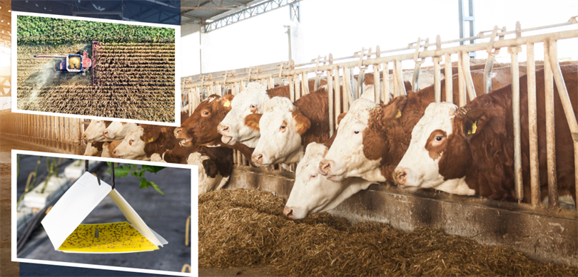 Tarım ve Orman Bakanı İbrahim Yumaklı, 350 milyon 968 bin