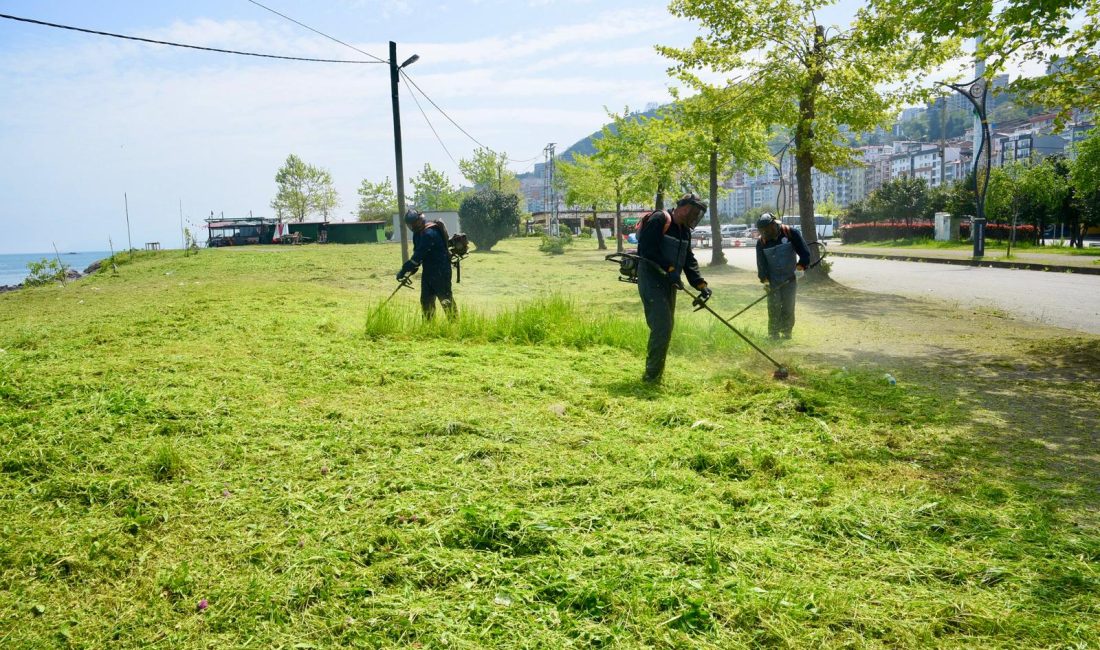 Giresun Belediyesi, yaz mevsiminin başlamasıyla birlikte kent genelindeki çalışmalarına hız