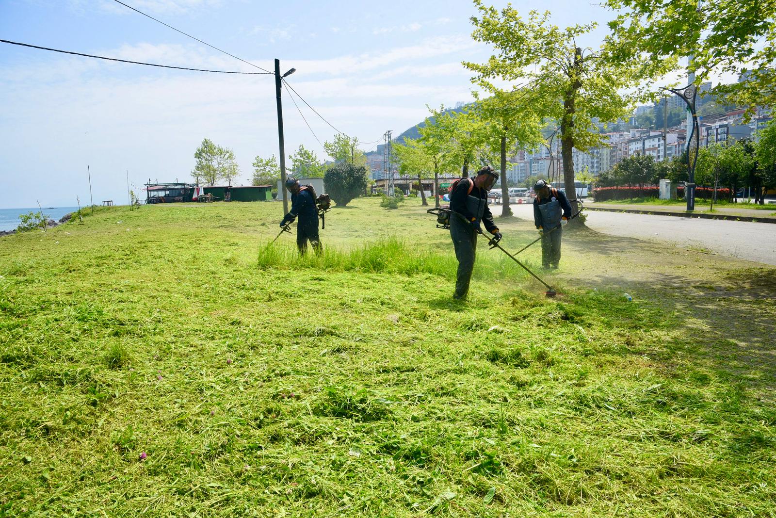 Giresun Belediyesi, yaz mevsiminin başlamasıyla birlikte kent genelindeki çalışmalarına hız