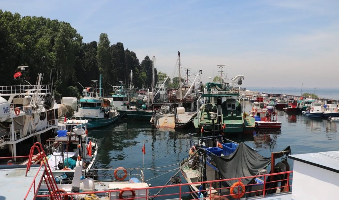 Kocaeli İl Tarım ve Orman Müdürlüğü koordinasyonunda, Tarım ve Orman