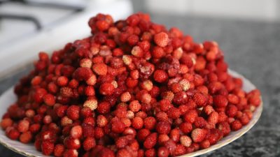 Ordu’da özellikle yüksek rakımlı ilçelerinde çoğunlukla kadınların bin bir emekle