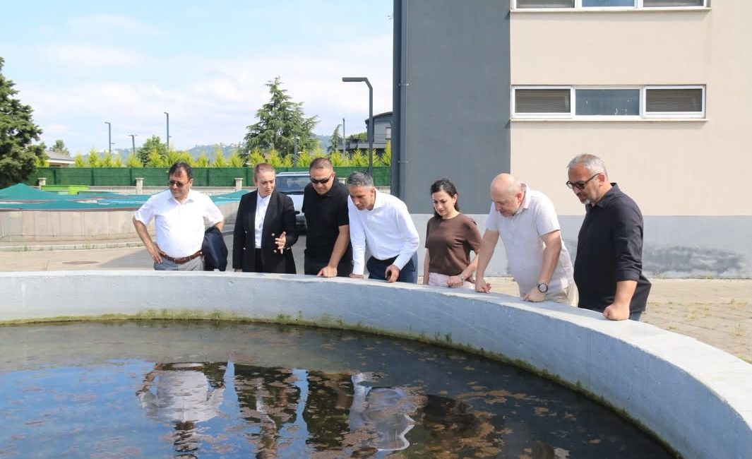 Kocaeli Büyükşehir Belediyesi Heyetinden SUMAE’ye Ziyaret Kocaeli Büyükşehir Belediyesi Çevre Koruma ve İklim Değişikliği Şube Müdürü