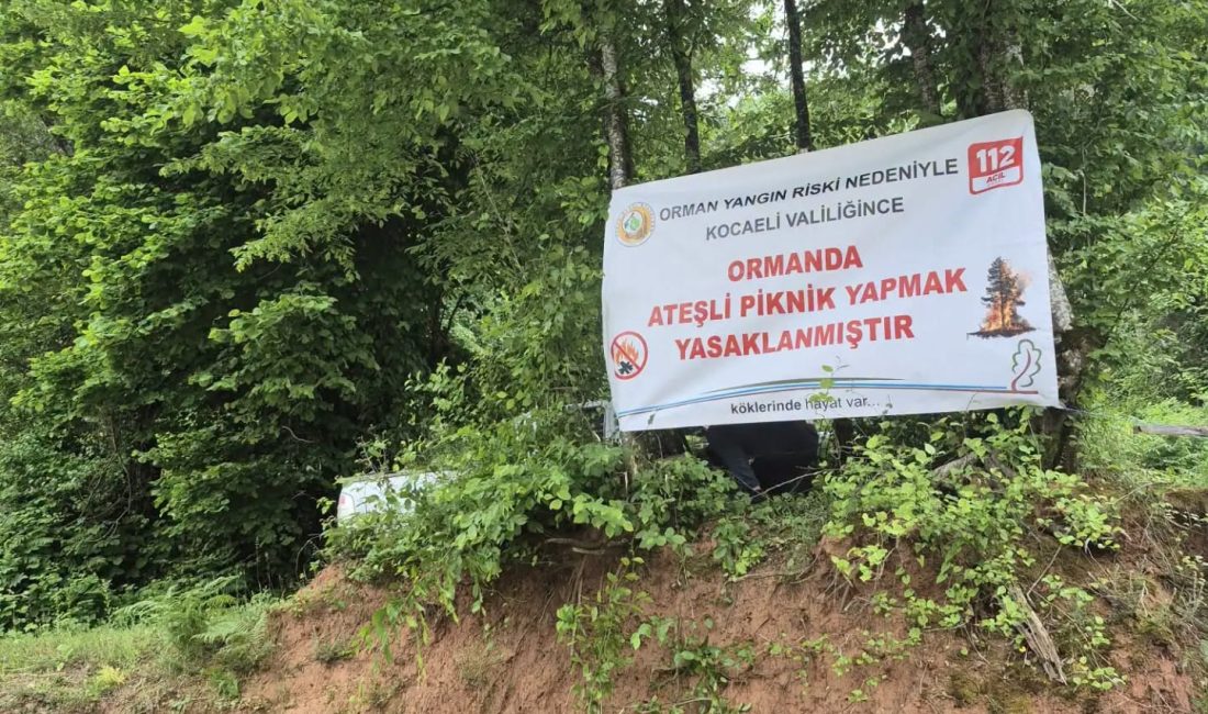 Sakarya Orman Bölge Müdürlüğü, yaz aylarında artan orman yangını riskine