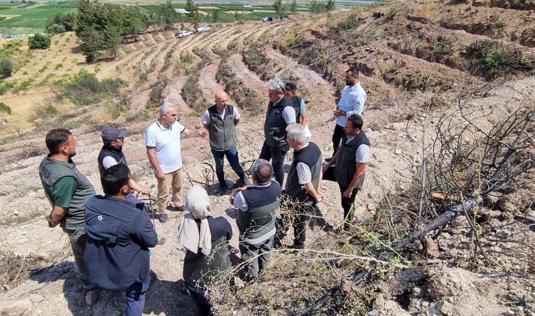 Ağaçlandırma Daire Başkanı İsmail Boz, Sakarya Orman Bölge Müdürlüğü sorumluluk