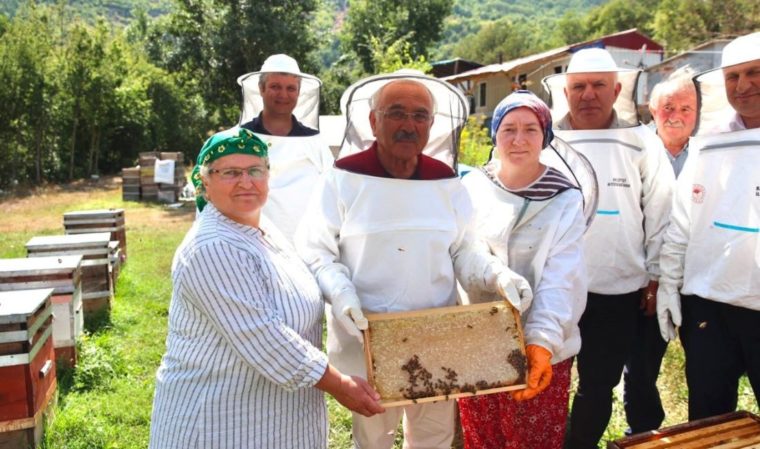 Başkan Güler’den Arıcılara Varroa İlacı Desteği Müjdesi Ordu’da bal hasadı bereketi yaşanıyor. Türkiye’nin bal üretiminde lider ili