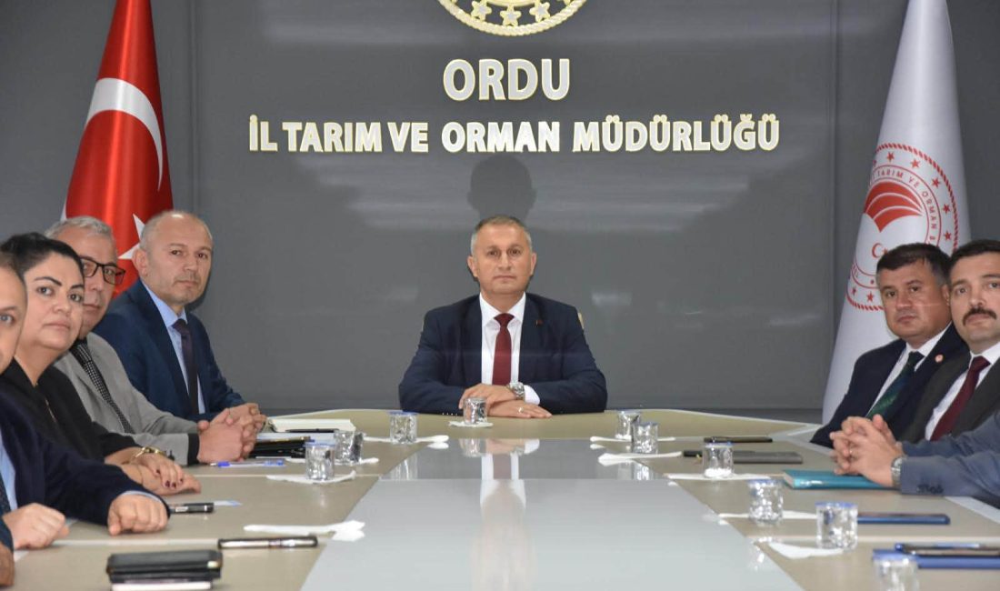 Ordu İl Tarım ve Orman Müdürlüğünde, 2026-2027 üretim sezonunda kahverengi