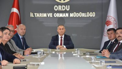 Ordu İl Tarım ve Orman Müdürlüğünde, 2026-2027 üretim sezonunda kahverengi