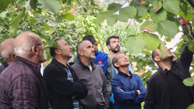 Giresun’un Yağlıdere ilçesinde fındık üreticilerine yönelik düzenlenen eğitim programında, sürdürülebilir